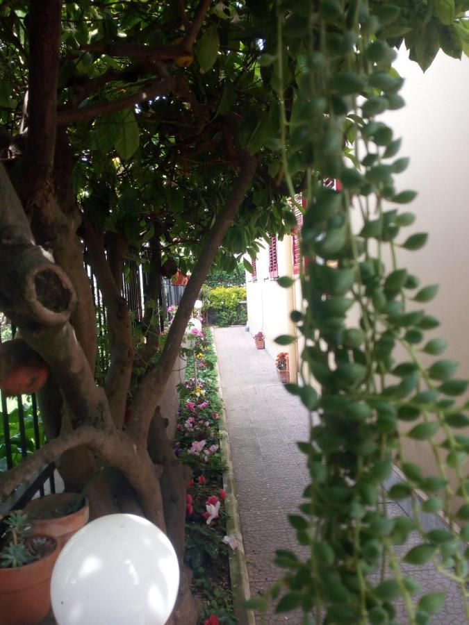 بومبيي Green Garden المظهر الخارجي الصورة