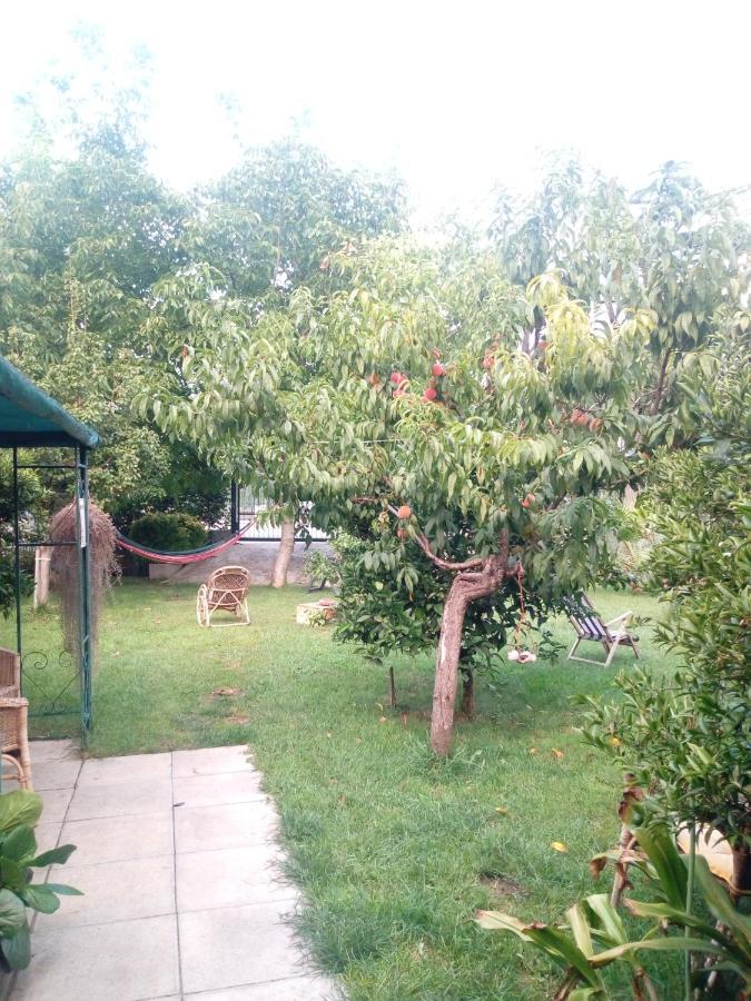 بومبيي Green Garden المظهر الخارجي الصورة